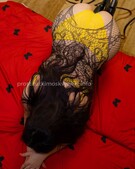 Анкета проститутки Ангелина - метро Хорошевский, возраст - 28